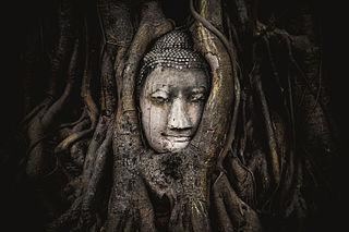 Buddha head overgrown by fig tree, Wat Mahatat, Ayutthaya historical park