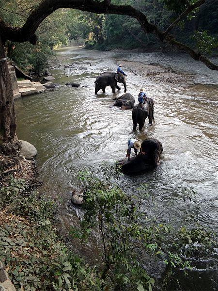 Chiang Mai Province