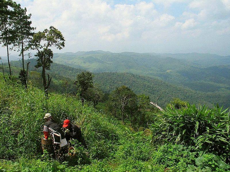 Chiang Mai Province