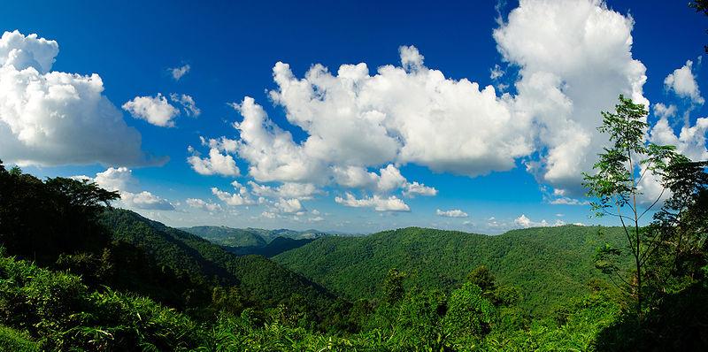 Khao Yai National Park