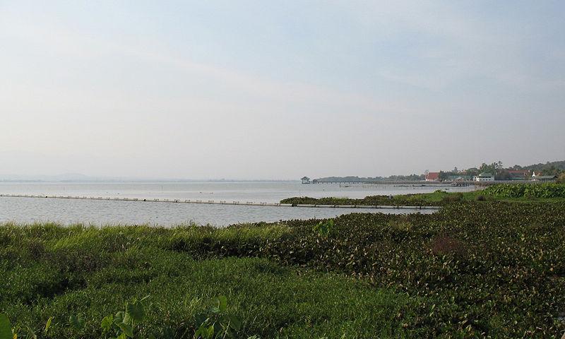 Phayao Lake, Phayao Province