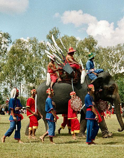 Elephant Festival